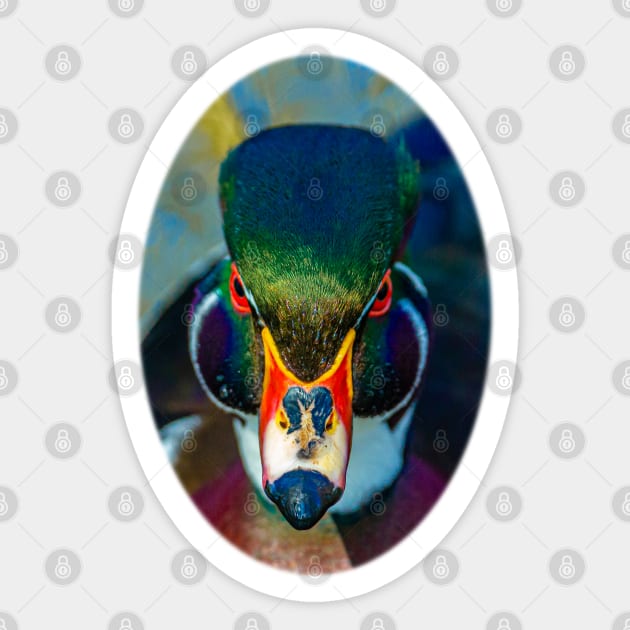 Carolina Wood Duck Sticker by dalyndigaital2@gmail.com